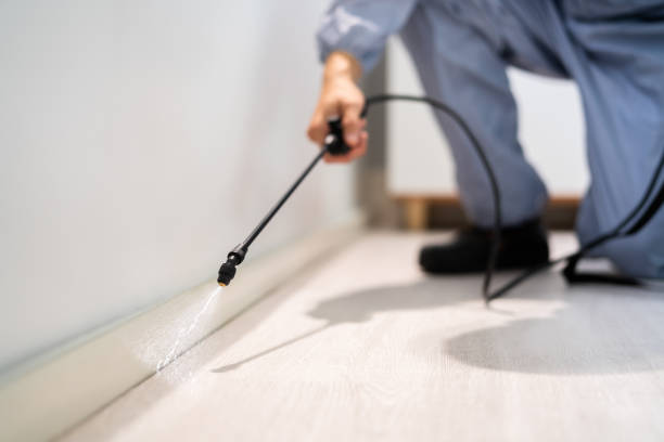 Licensed Termite Control service in Badin, NC - Nex Pest Control