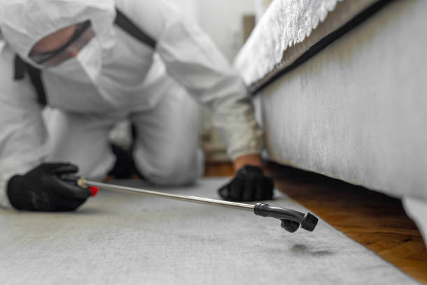Professional Termite Control technician working in Badin, NC