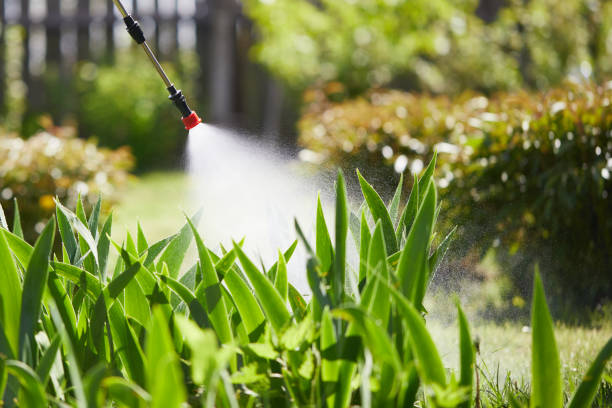 24/7 Emergency Termite Control experts in Badin, NC