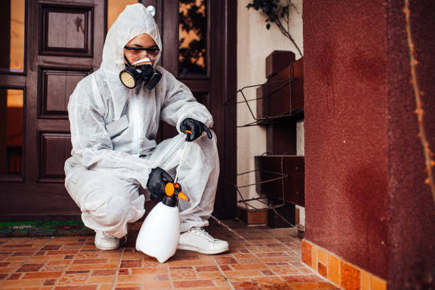 Reliable Termite Control contractor in Badin, NC by Nex Pest Control