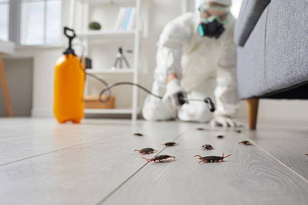 Trusted Cockroach Control service in Badin, NC - Nex Pest Control