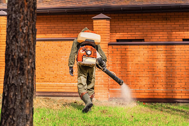 Trusted Rodent Control service in Badin, NC - Nex Pest Control